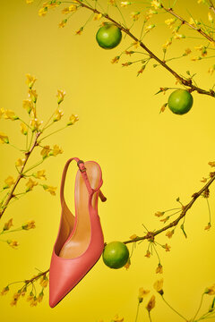 Red shoe on vect with limes
