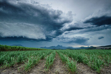 Storm clouds over cane fields with Mount Warning in Murwillumbah landscape