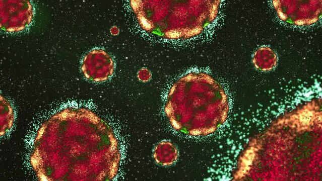 Realistic coronavirus medical background animation. 3d animation with a depth of field. Full HD 1080p