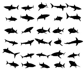 Collection of black silhouettes sharks.