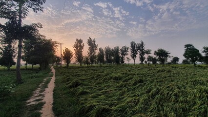 sunset in the mountains