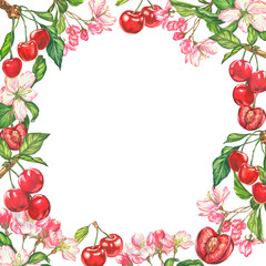 Cherry. watercolor botanical illustration of cherry berries and flowers. frame for cards and invitations