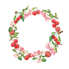 Cherry. watercolor botanical illustration of cherry berries and flowers. frame for cards and invitations