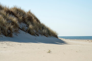 Sand dunes on the island of R&oslash;m&oslash; in Denmark