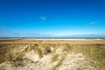 Fototapeta na wymiar Sand dunes on the island of Rømø in Denmark 