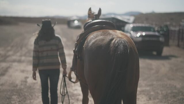 Horse walking getting led by cowgirl. Beautiful horse walking outside. Horses walking around an arena. Equine round pen with horse in it.