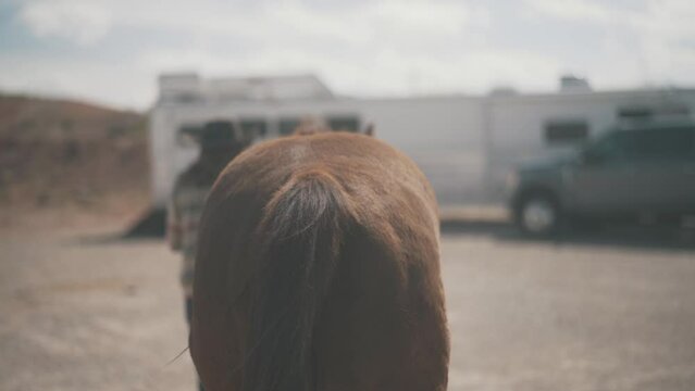 Horse walking getting led by cowgirl. Beautiful horse walking outside. Horses walking around an arena. Equine round pen with horse in it. Girl leading horse around.