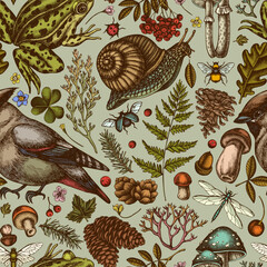 Mysterious forest seamless pattern background design. Engraved style. Hand drawn waxwing, snail, pool frog, moss, spruce branch, pine cones, mushrooms, insect, porcini, oak, rowan, clover, fern.