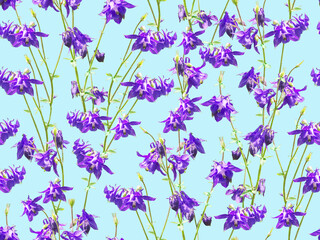 Seamless pattern with blue bluebell flowers.