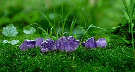 gemstones close up on mysterious dark natural background. set of amethyst minerals for Magic...