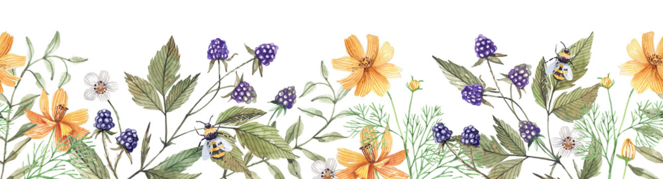 Seamless horizontal border with forest plants, wild flowers, herbs and berries. Blackberry, cosmos and wild herbs watercolor illustration.