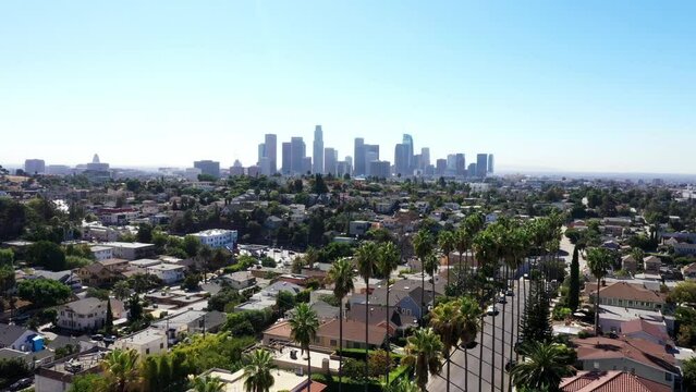 Beautiful drone shot from a neighborhood of Los Angeles, California showing palm trees and the city skyline