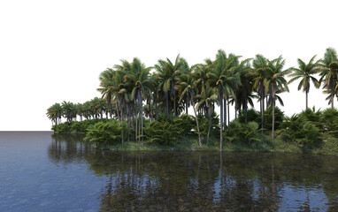 Fototapeta na wymiar A canal that runs through a coconut grove with a white background.