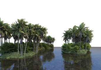A canal that runs through a coconut grove with a white background.