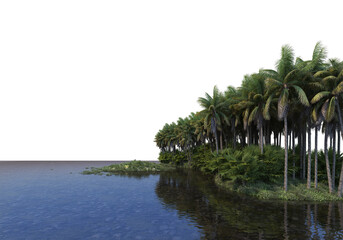 Obraz premium A canal that runs through a coconut grove with a white background.