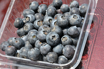 blueberries in a plastic boxe