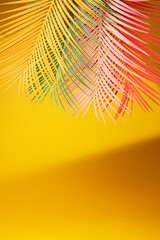 Palm leaf on a yellow background. - Summer concept.