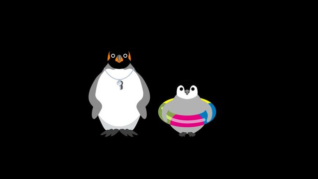 Loopable and Alpha channel file - Baby and adult penguins doing warm-up exercises