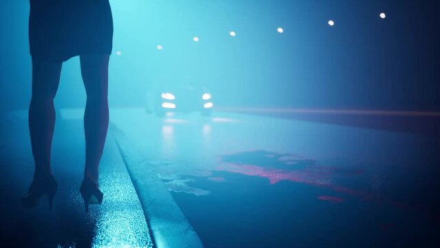 A prostitute woman stands on wet pavement near the road, waiting for a money client.