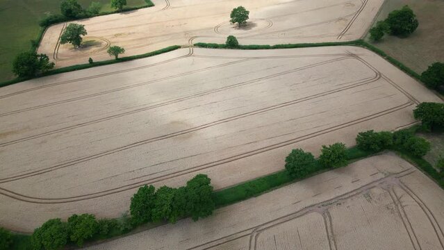 An aerial view of Wheat fields ready for harvest on land in Worcestershire, England.