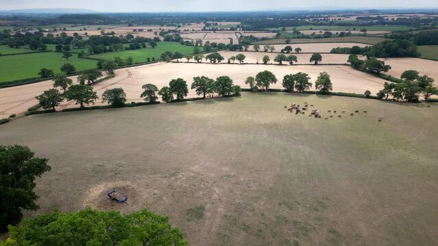 An aerial view of Wheat fields ready for harvest on land in Worcestershire, England.