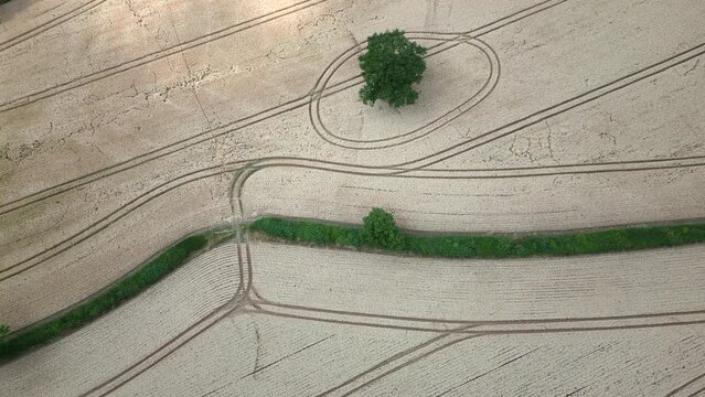 An aerial view of Wheat fields ready for harvest on land in Worcestershire, England.