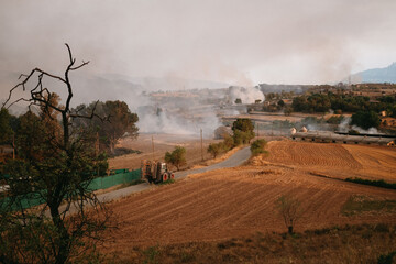Paisaje debastado por un incendio