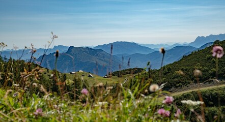Aberfeldkogel Feuerkogel Europakreutz  Ebensee Wandern Sommer 2022 Wanderwege Gipfel Seeblick