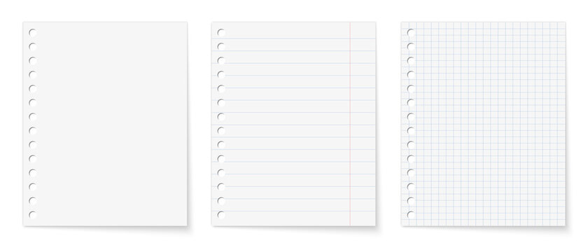 Notebook sheets with holes. Realistic blank paper sheets of lines and squares. 