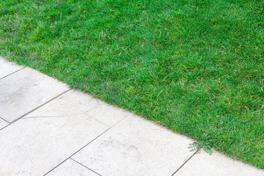 Green Grass And Sidewalk In The Park