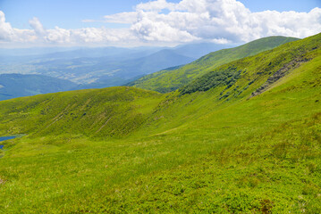 Fototapeta premium landscape with grass