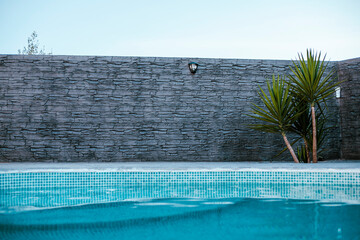 printed concrete wall seen from the front, from the pool, with a Yucca in the planter