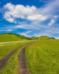 Fototapeta na wymiar Summer foothill landscape. Green meadow and blue sky with clouds. Altai.