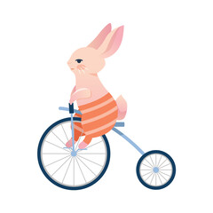 Circus Rabbit rides a bicycle isolated on a white background. Cute Cartoon Character. Show concept. Childish vector illustration.