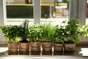 Different aromatic potted herbs on windowsill indoors - obrazy, fototapety, plakaty