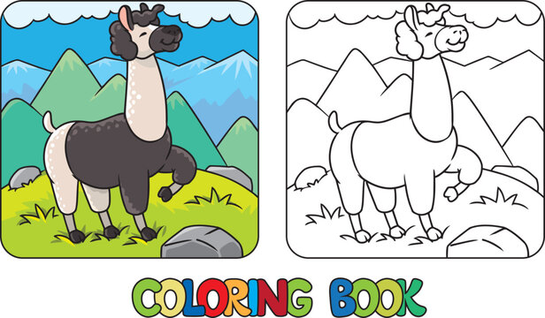 Funny llama standing on lawn. Kids coloring book