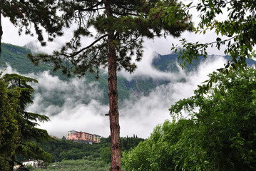 Obraz premium Wooded Hillside with Trees and Low Clouds