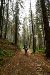 Tourist hike with large backpacks in the Carpathians.