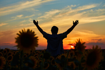 farmer standing in a sunflower field