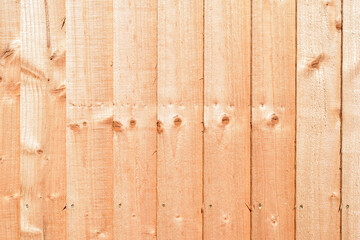 Textures Surface of Timber Fence Panel in Close Up 