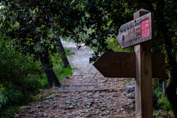camino Vell de Lluc, Caimari, Paraje natural de la Serra de Tramuntana, Mallorca, balearic islands, Spain