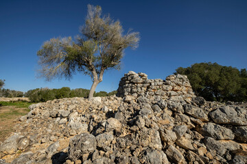 talayot circular, conjunto prehist&oacute;rico de Capocorb Vell,  principios del primer milenio a. C. (Edad de Hierro), Monumento Hist&oacute;rico Art&iacute;stico, Llucmajor, Mallorca, Balearic islands, spain