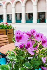 Cafe Flowers