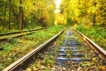 Fototapeta premium Abandoned Railway under Autumn Colored Trees. Tunnel of Love.