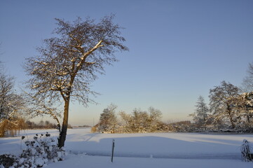 Reeuwijk, Frozen lake with trees