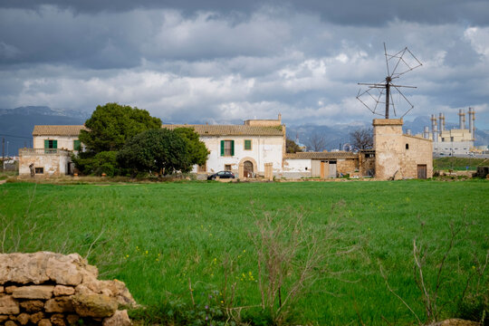 Son Morla, Palma, Mallorca, balearic islands, Spain