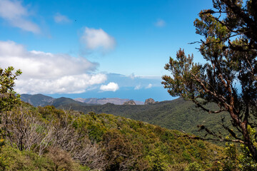 Scenic view on the forest in Garajonay National Park. Lookout from summit of Alto de Garajonay, La Gomera, Canary Islands, Spain, Europe. Hiking trail from Roque de Agando. Atlantic Ocean