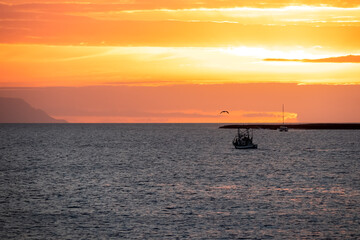 Naklejka na ściany i meble Romantic sunset seen from lookout Cypelek Los Cristianos, Tenerife, Canary Islands, Spain, Europe. Silhouette of birds entering frame. Fishermen boat on the way to Island of La Gomera in the distance