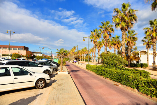 Palm trees at Seafront of Malvarosa beach. Parking with cars near the coastline with palm trees