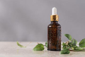 Glass dropper bottle with water drops and green leaves. Skincare products , serum, natural cosmetic. Beauty concept for face and body care